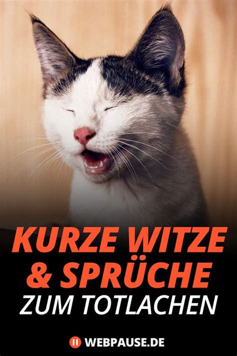 witze spruch|lustige sprüche zum totlachen.